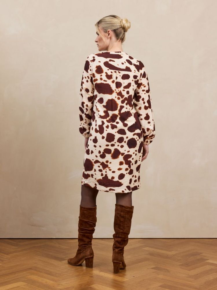 PAULA 002 BROWN COW
