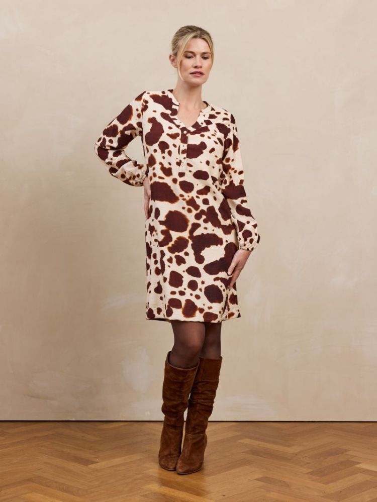 PAULA 002 BROWN COW
