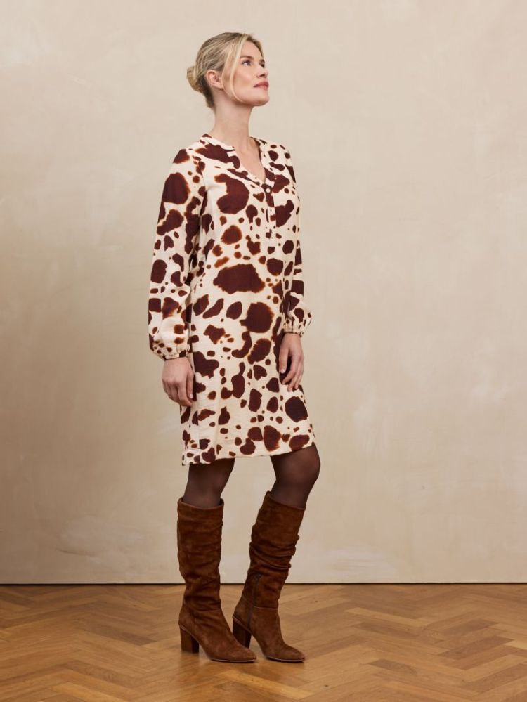 PAULA 002 BROWN COW