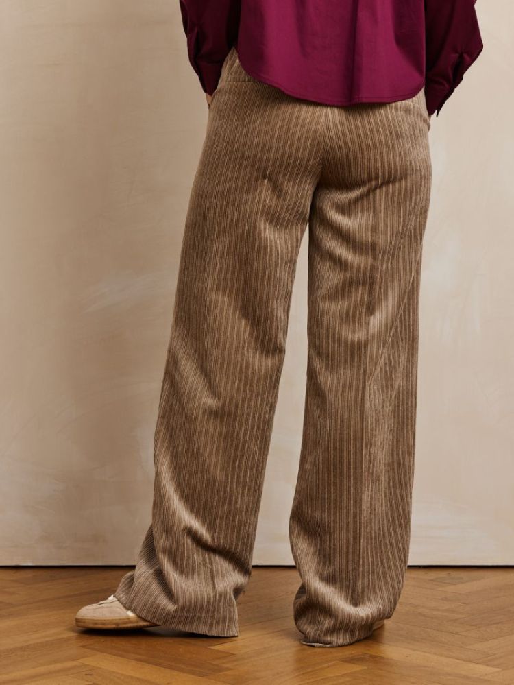 JARA TAUPE